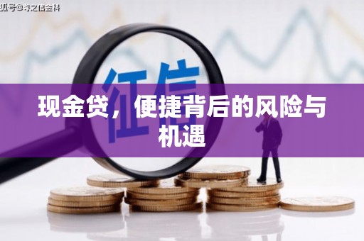 泾阳现金贷，便捷背后的风险与机遇