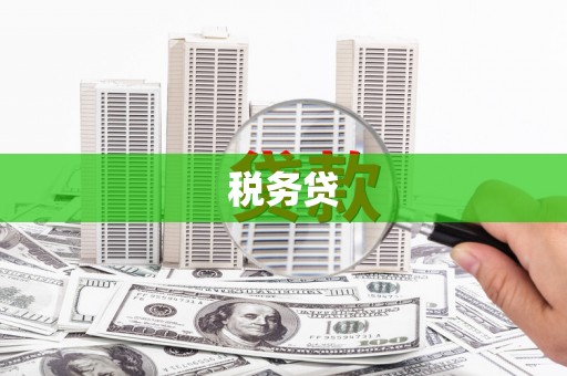 泾阳税务贷