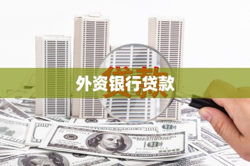 泾阳外资银行贷款