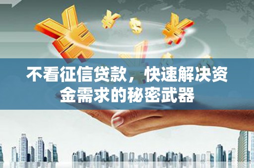 泾阳不看征信贷款，快速解决资金需求的秘密武器