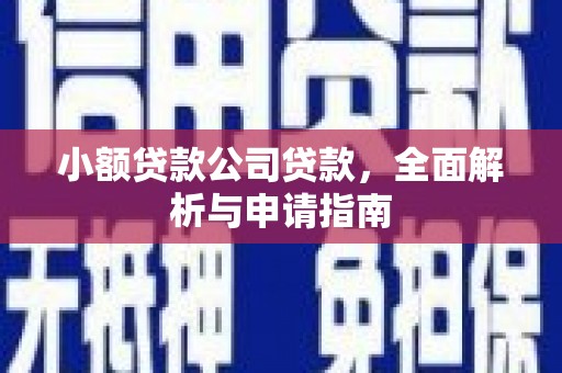 泾阳小额贷款公司贷款，全面解析与申请指南