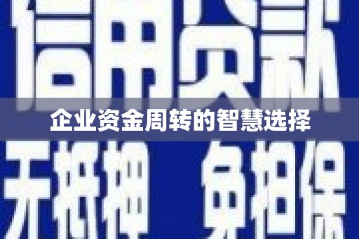 泾阳企业资金周转的智慧选择