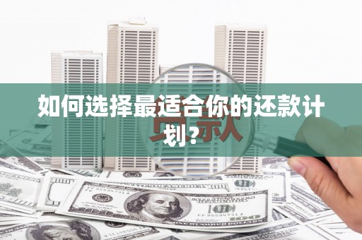 泾阳如何选择最适合你的还款计划？