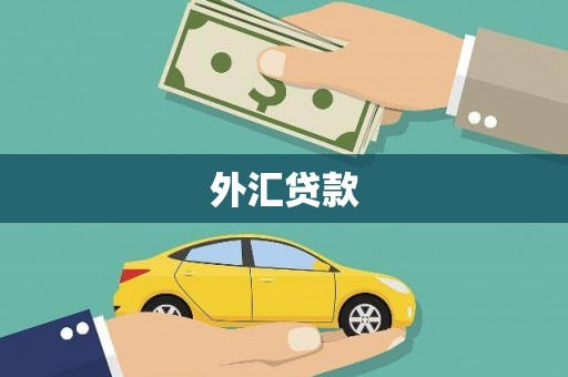 泾阳外汇贷款