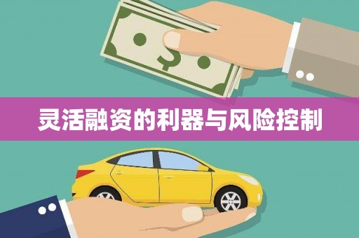 泾阳灵活融资的利器与风险控制