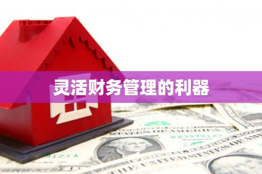 泾阳灵活财务管理的利器