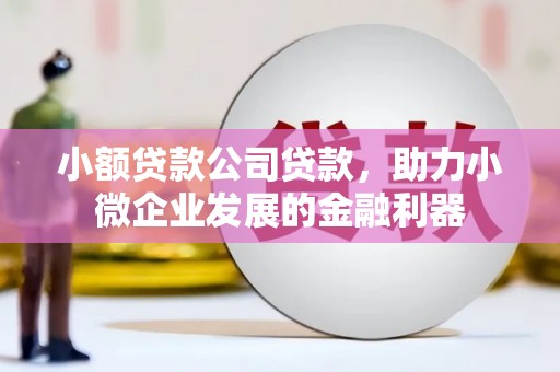 泾阳小额贷款公司贷款，助力小微企业发展的金融利器