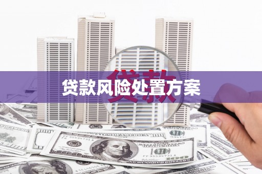 泾阳贷款风险处置方案