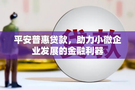 泾阳平安普惠贷款，助力小微企业发展的金融利器
