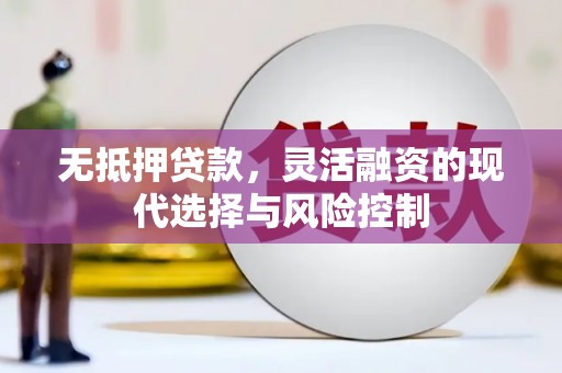 泾阳无抵押贷款，灵活融资的现代选择与风险控制