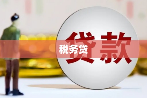 泾阳税务贷