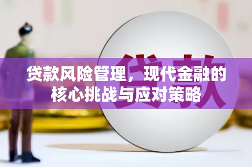 泾阳贷款风险管理，现代金融的核心挑战与应对策略