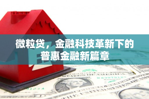 泾阳微粒贷，金融科技革新下的普惠金融新篇章