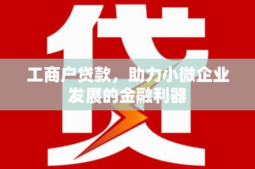 泾阳工商户贷款，助力小微企业发展的金融利器