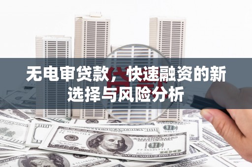 泾阳无电审贷款，快速融资的新选择与风险分析