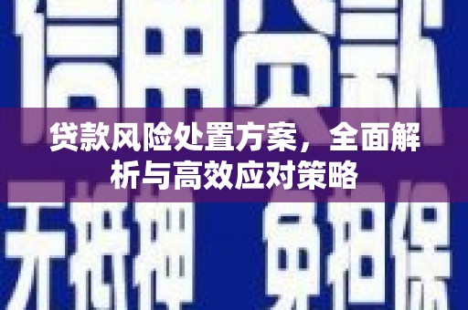 泾阳贷款风险处置方案，全面解析与高效应对策略