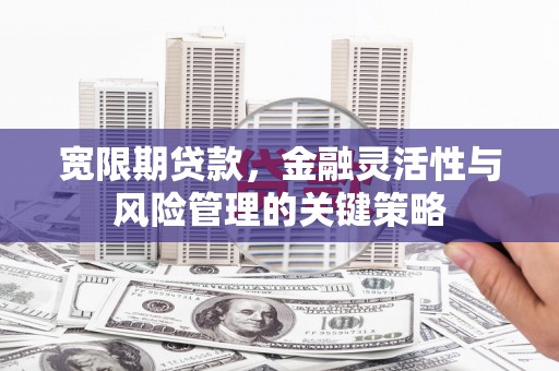 泾阳宽限期贷款，金融灵活性与风险管理的关键策略