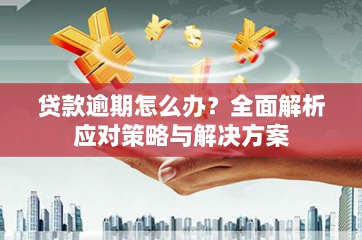 泾阳贷款逾期怎么办？全面解析应对策略与解决方案