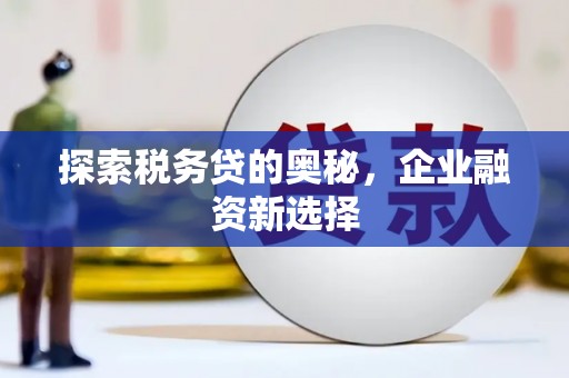 泾阳探索税务贷的奥秘，企业融资新选择