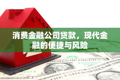 泾阳消费金融公司贷款，现代金融的便捷与风险