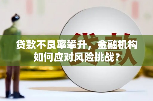 泾阳贷款不良率攀升，金融机构如何应对风险挑战？