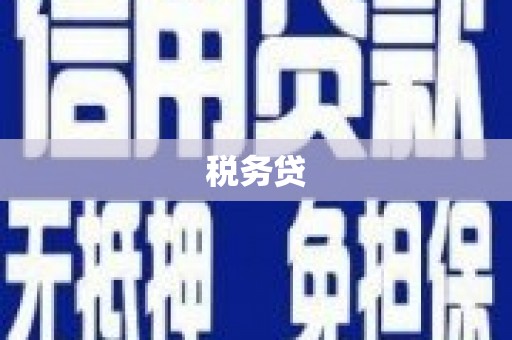 泾阳税务贷