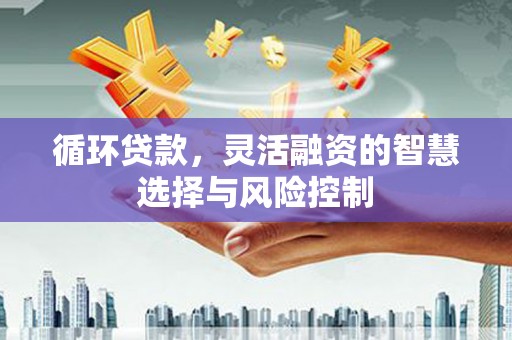 泾阳循环贷款，灵活融资的智慧选择与风险控制