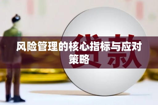 泾阳风险管理的核心指标与应对策略