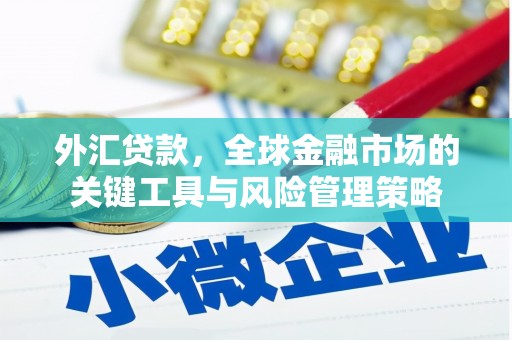 泾阳外汇贷款，全球金融市场的关键工具与风险管理策略