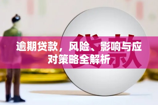 泾阳逾期贷款，风险、影响与应对策略全解析