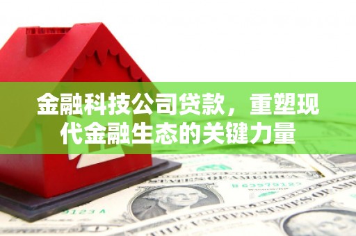 泾阳金融科技公司贷款，重塑现代金融生态的关键力量