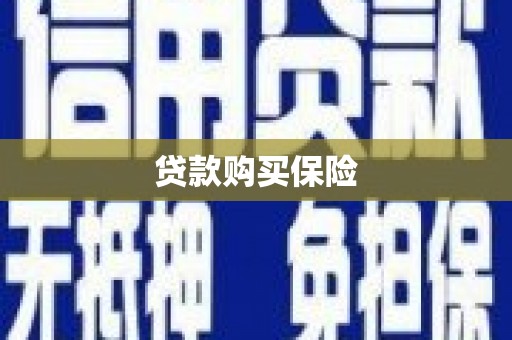 泾阳贷款购买保险