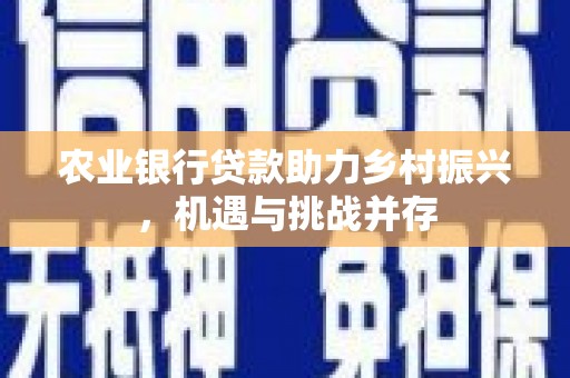 泾阳农业银行贷款助力乡村振兴，机遇与挑战并存