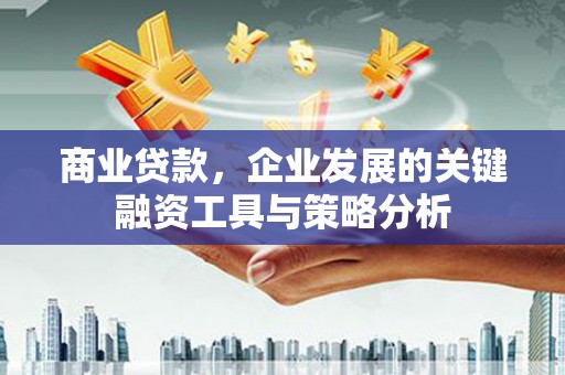 泾阳商业贷款，企业发展的关键融资工具与策略分析