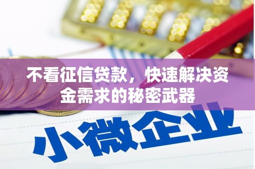泾阳不看征信贷款，快速解决资金需求的秘密武器