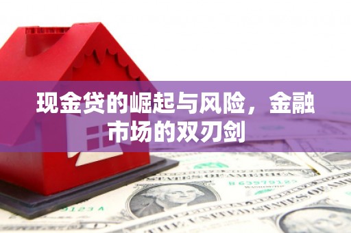 泾阳现金贷的崛起与风险，金融市场的双刃剑
