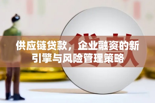 泾阳供应链贷款，企业融资的新引擎与风险管理策略