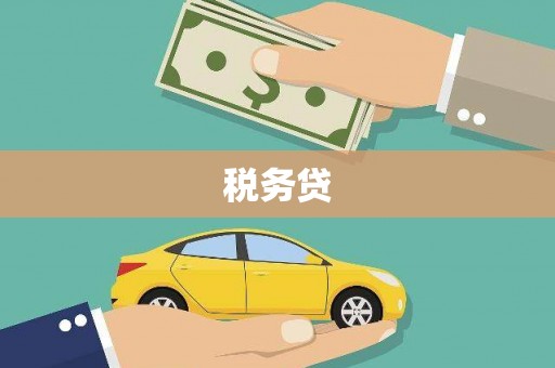 泾阳税务贷