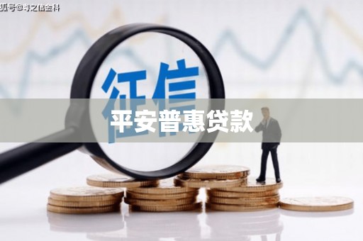 泾阳平安普惠贷款