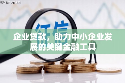 泾阳企业贷款，助力中小企业发展的关键金融工具