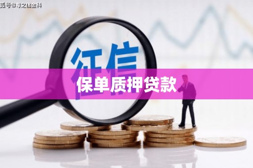 泾阳保单质押贷款