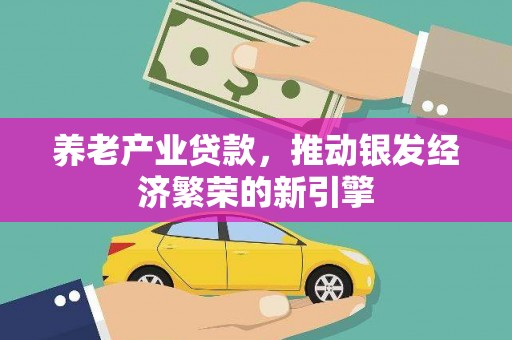 泾阳养老产业贷款，推动银发经济繁荣的新引擎