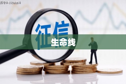 泾阳生命线