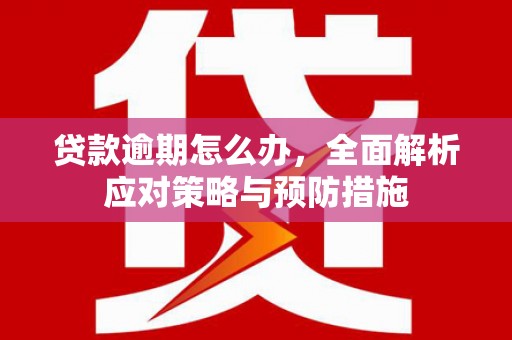 泾阳贷款逾期怎么办，全面解析应对策略与预防措施