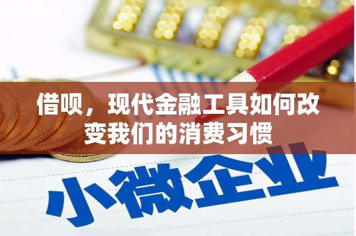 泾阳借呗，现代金融工具如何改变我们的消费习惯