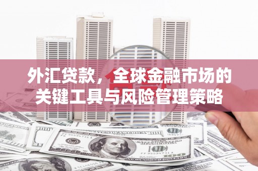 泾阳外汇贷款，全球金融市场的关键工具与风险管理策略