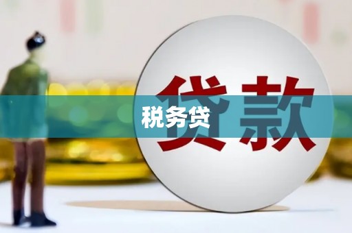 泾阳税务贷
