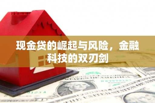 泾阳现金贷的崛起与风险，金融科技的双刃剑
