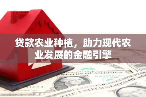 泾阳贷款农业种植，助力现代农业发展的金融引擎
