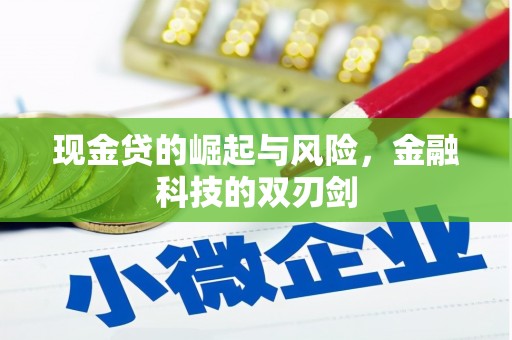 泾阳现金贷的崛起与风险，金融科技的双刃剑